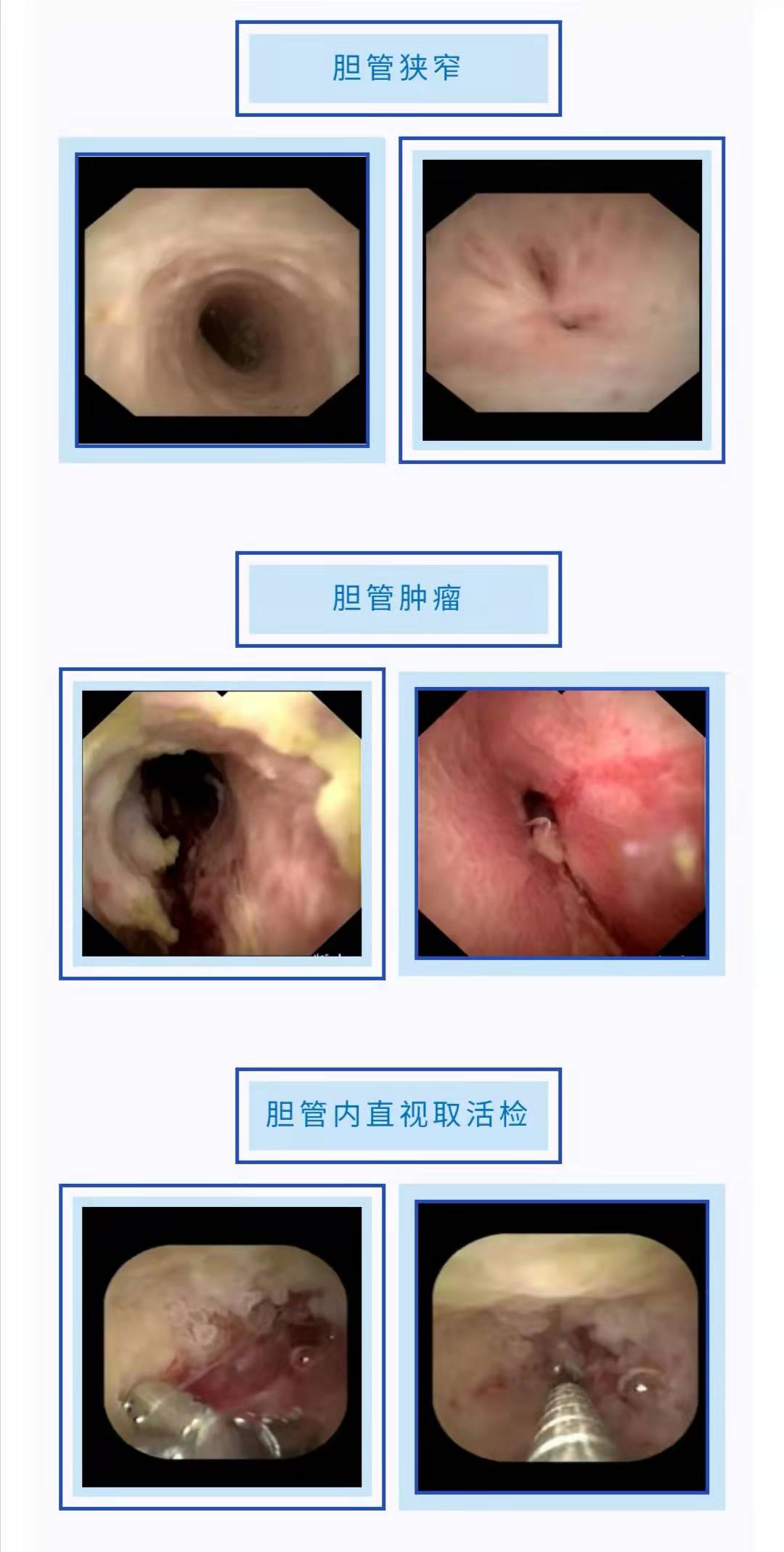 微信图片_20211220092922.jpg